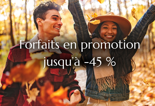 Forfaits en promotion