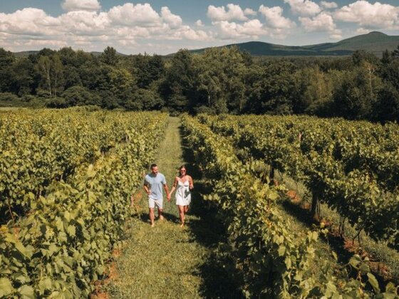 Hôtel Château-Bromont - Cantons-de-l'Est - Vignoble Val Caudalies 