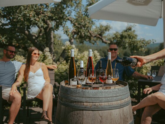 Hôtel Château-Bromont - Cantons-de-l'Est - dégustation au Vignoble Val Caudalies