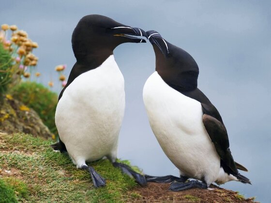 Hôtel L'Oiselière Montmagny - Chaudières-Appalaches - Escapade Plein Air et Activités - crédit@CroisièresAML