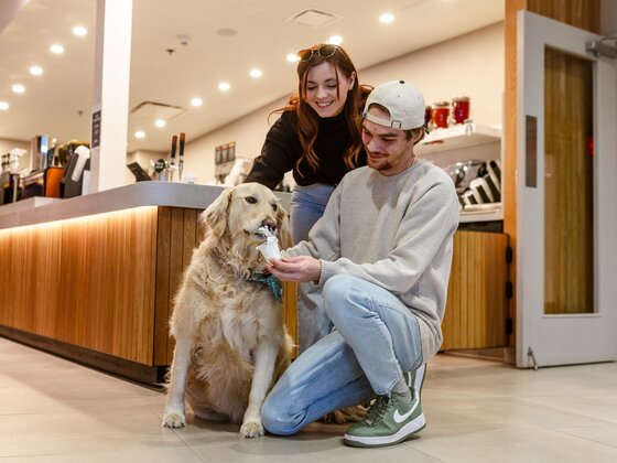 Hôtel Levesque - Bas-Saint-Laurent - Rivière-du-Loup - Escapade avec Toutou