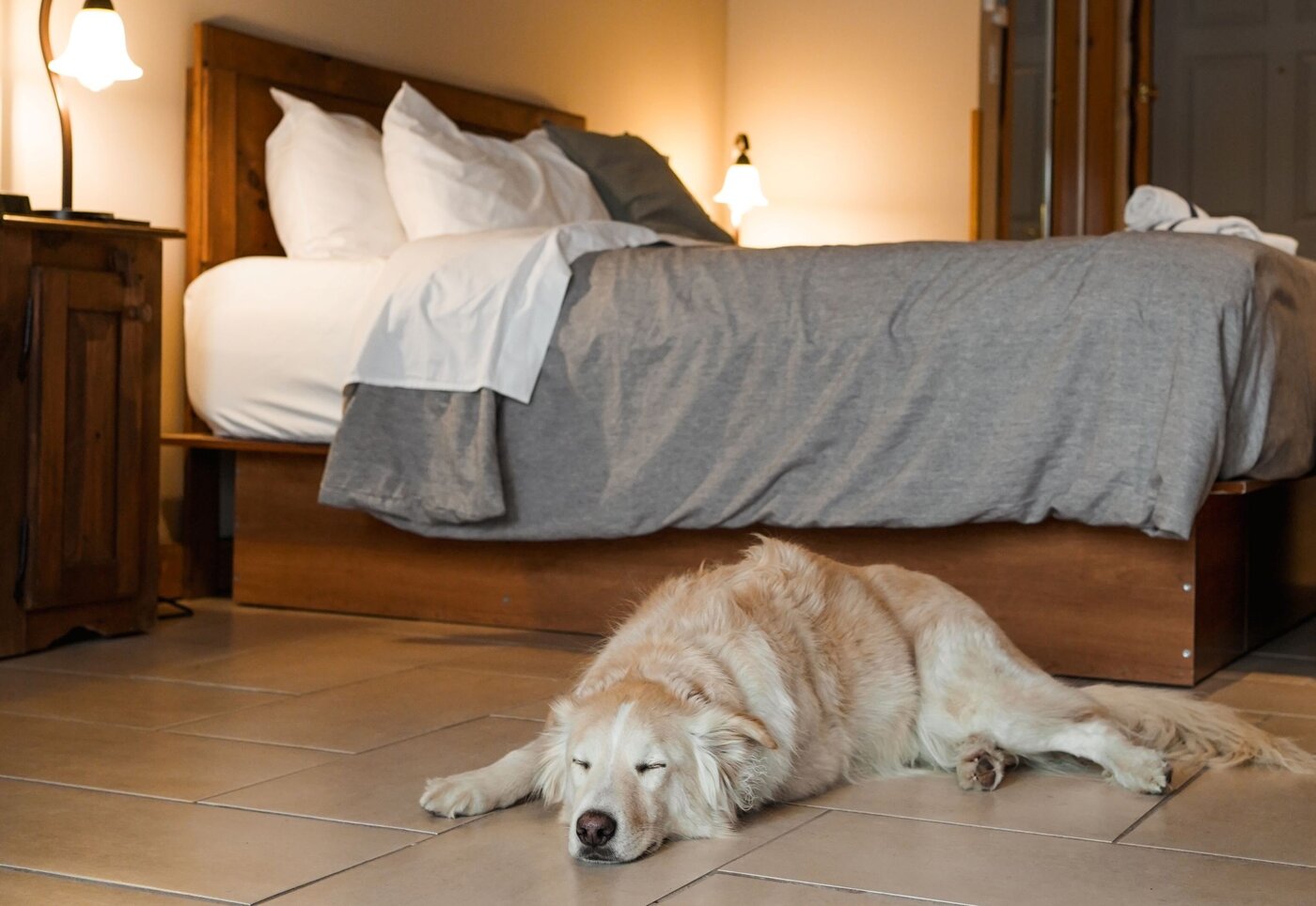 Auberge du Vieux Moulin - Lanaudière - Escapade avec toutou