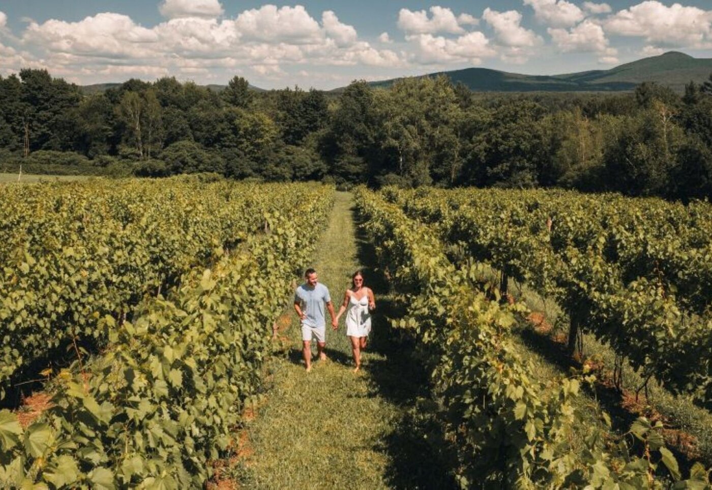 Hôtel Château-Bromont - Cantons-de-l'Est - Vignoble Val Caudalies 