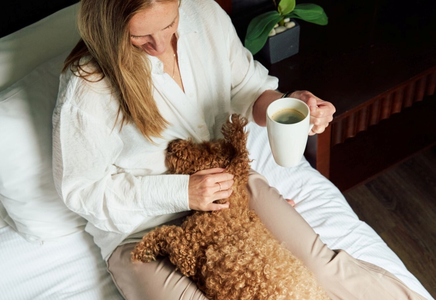 Hôtel Château Bellevue - Quebec - Getaway with Doggy