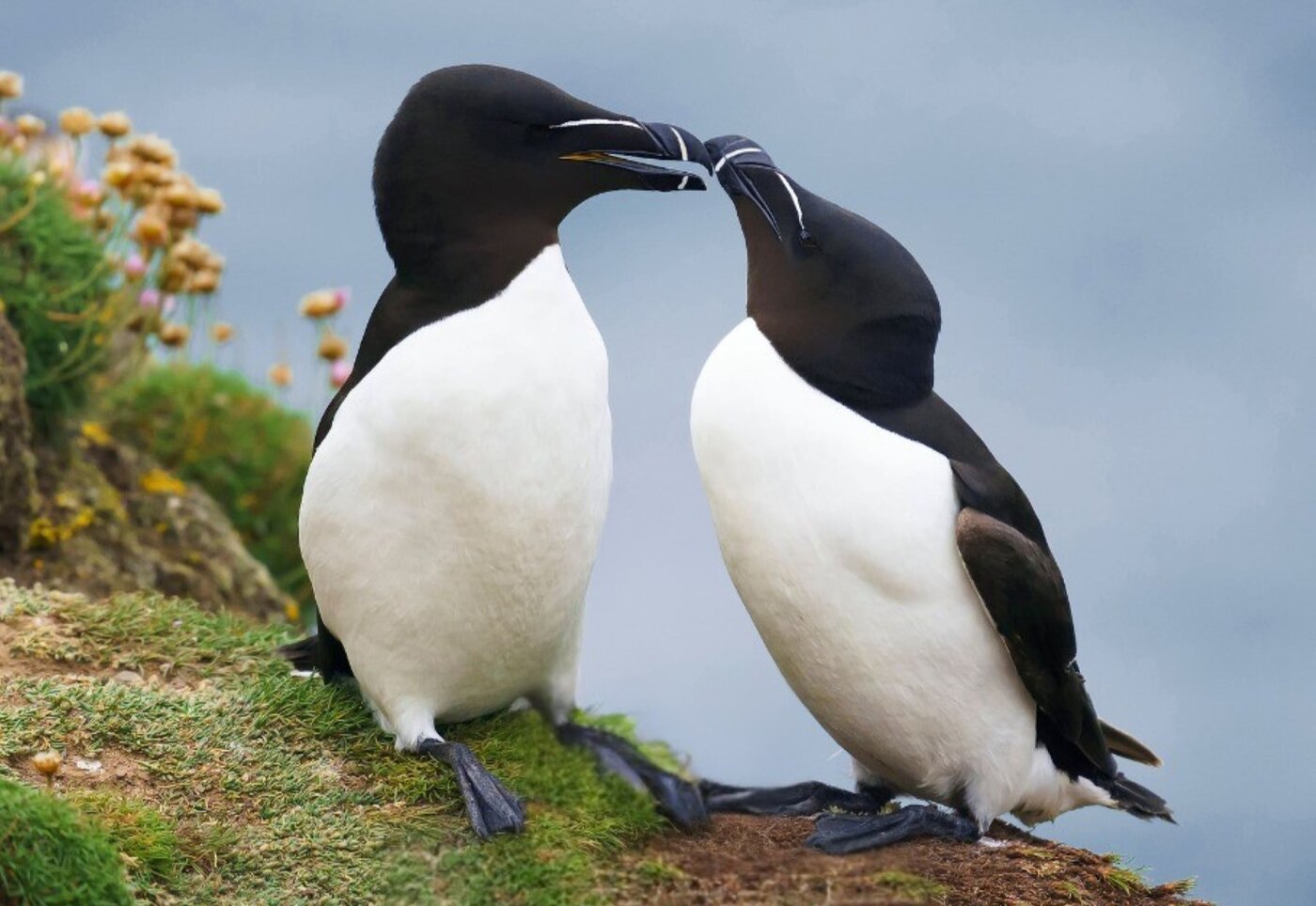 Hôtel L'Oiselière Montmagny - Chaudières-Appalaches - Escapade Plein Air et Activités - crédit@CroisièresAML