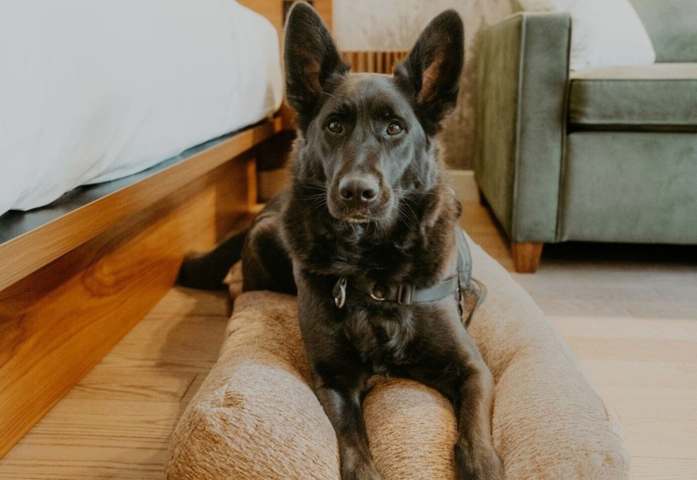 Hôtel-Musée Premières Nations - Région de Québec - Escapade avec toutou