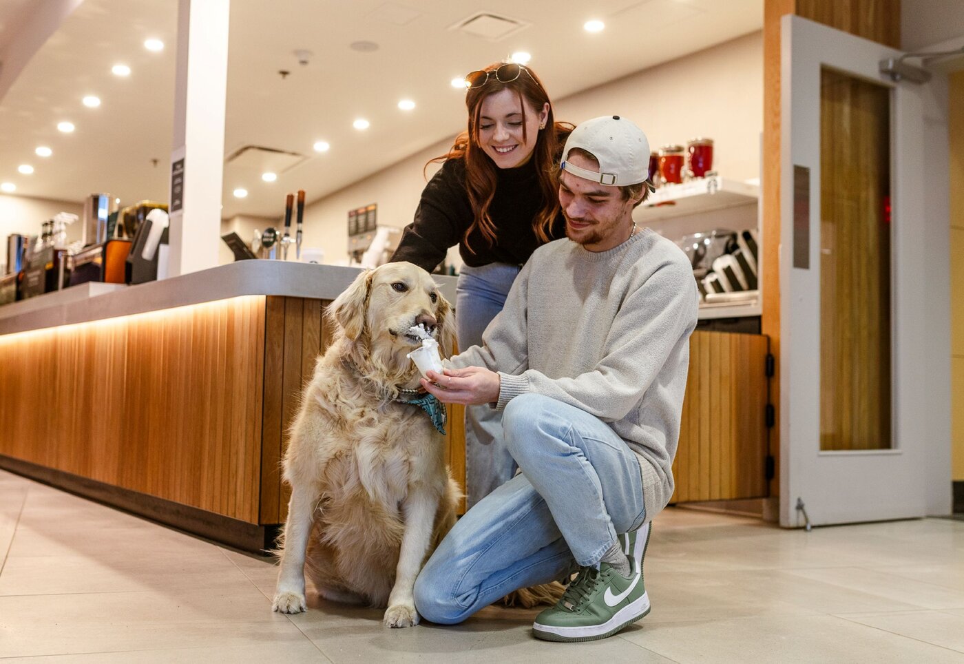 Hôtel Levesque - Bas-Saint-Laurent - Rivière-du-Loup - Escapade avec Toutou