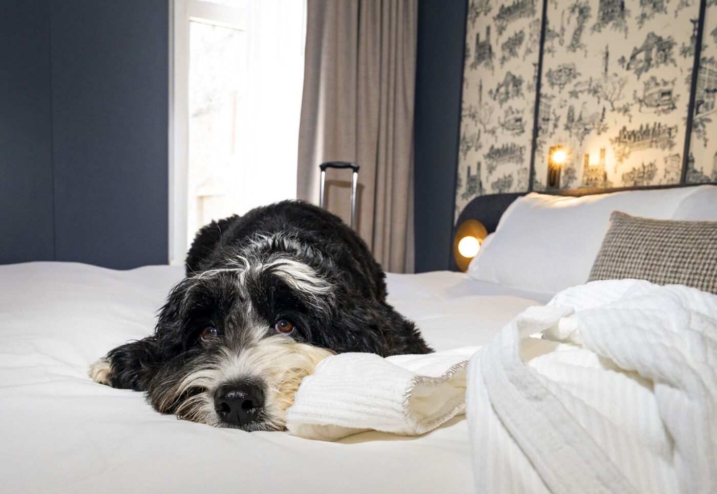Hôtel Saint-Sulpice - Montréal - Doggy getaway