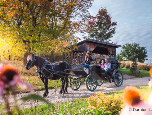 Le Baluchon Éco-villégiature Équitation