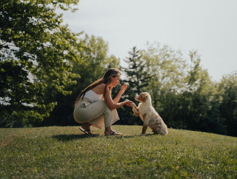 Hôtel Château-Bromont eastern townships travel with your dog