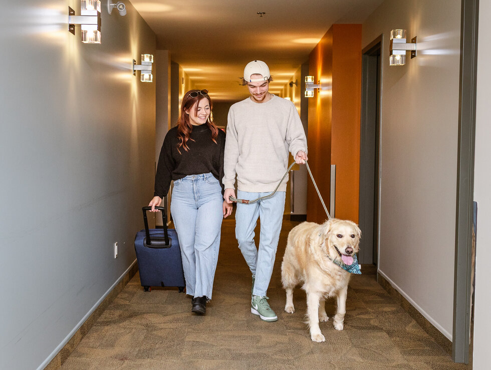 Hôtel Levesque - Bas-Saint-Laurent - voyagez avec votre chien