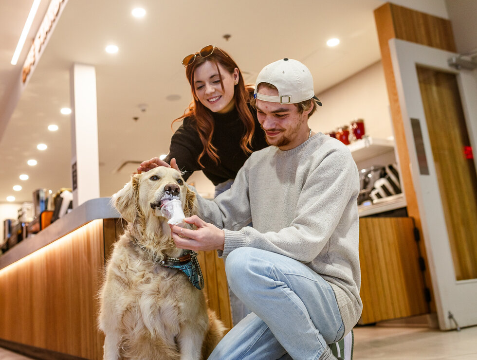 Hôtel Levesque - Bas-Saint-Laurent - voyagez avec votre chien