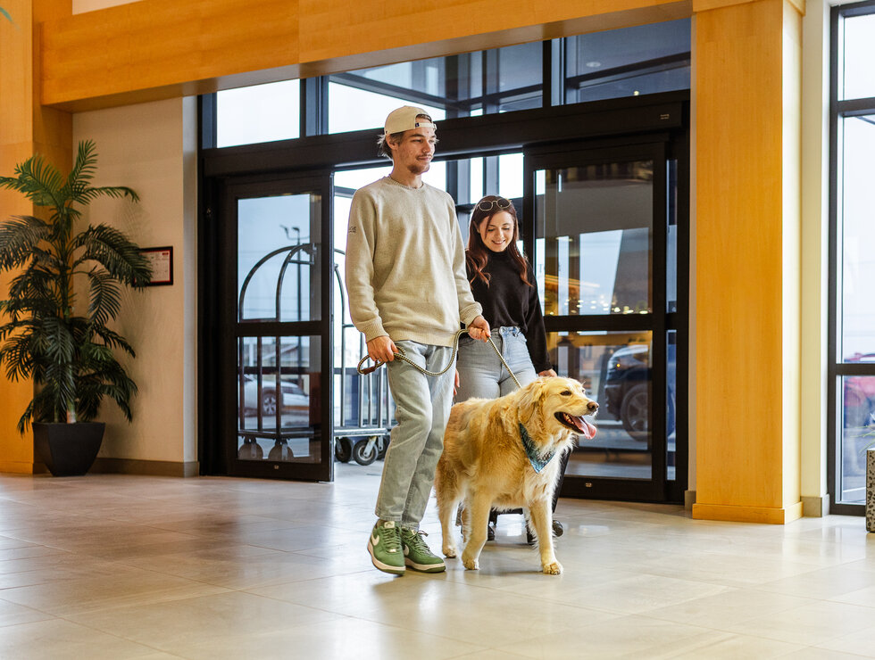 Hôtel Levesque - Bas-Saint-Laurent - voyagez avec votre chien