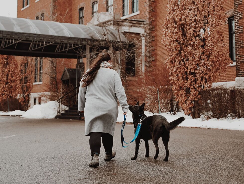 Hôtel Montfort Centre-du-Québec travel with your dog