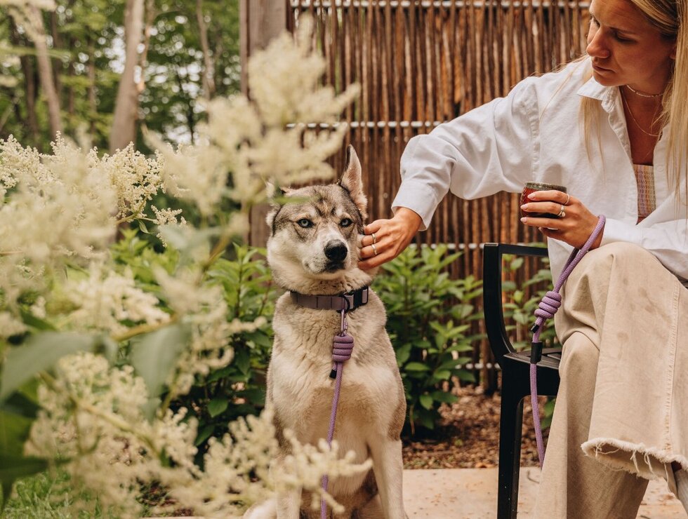 Hôtel-Musée Premières Nations Québec City Area travel with your dog