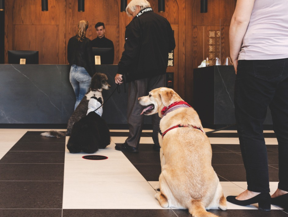 Hôtel Château Laurier Québec travel with your dog