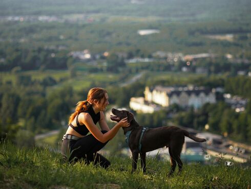 Hôtel Château-Bromont eastern townships travel with your dog