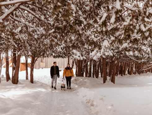 Le Grand Lodge Mont-Tremblant - Laurentides - voyagez avec votre chien