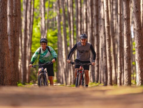 Le Grand Lodge Mont-Tremblant Laurentians pine forest