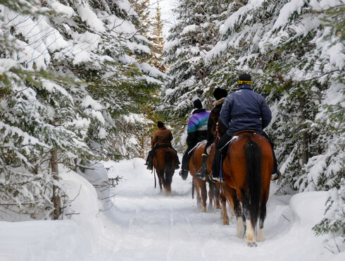 Le Petit Manoir du Casino - Hôtel-Pavillons-Spa Charlevoix winter horseback riding 