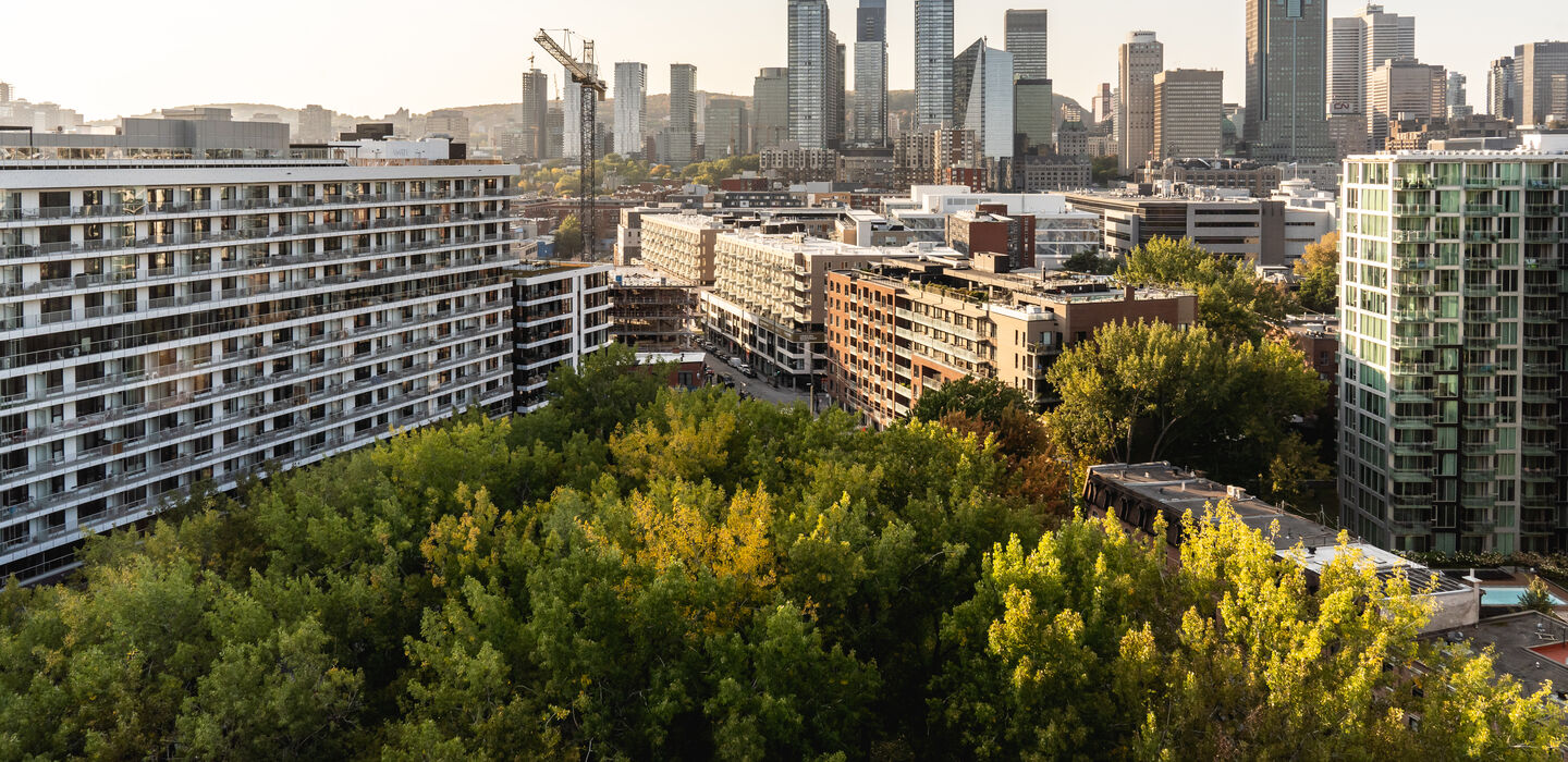 Hôtel Griffintown Région de Montréal