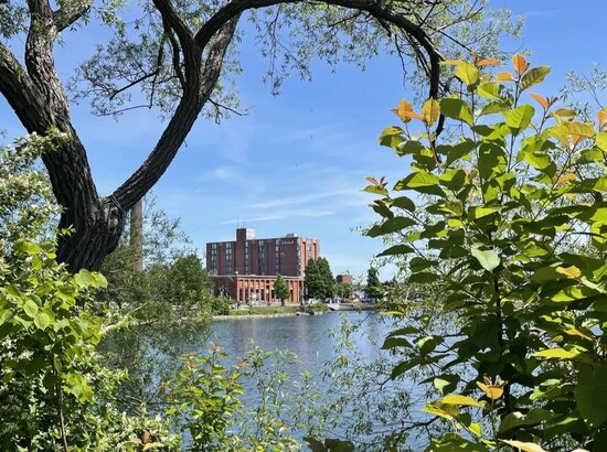 Hôtel MOCO Salaberry-de-Valleyfield Montérégie room