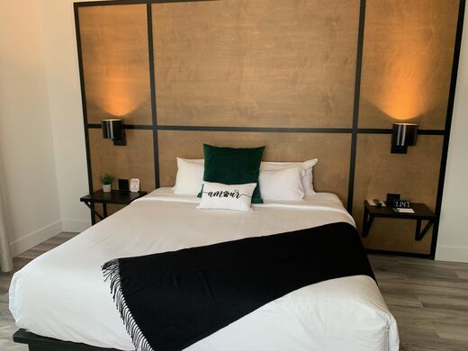 AX Hôtel The King - Pet Friendly